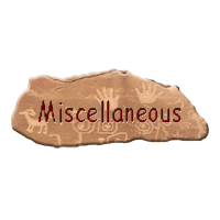 Miscellaneous - Eagle Claw Ornament